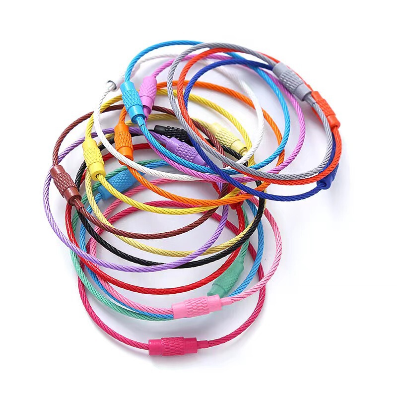 Factory direct candy color key ring color paint galvanized steel wire rope tag bag cartoon key lanyard