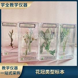 教学演示用品;教学仪器;生物教学器材