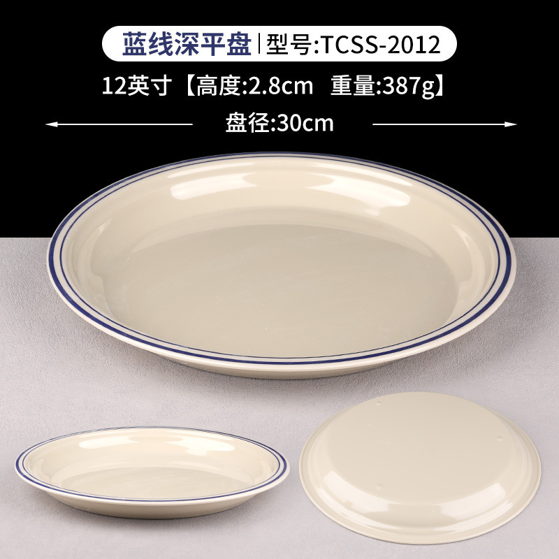 12 "블루 라인 딥 디스크 TCSS-2012