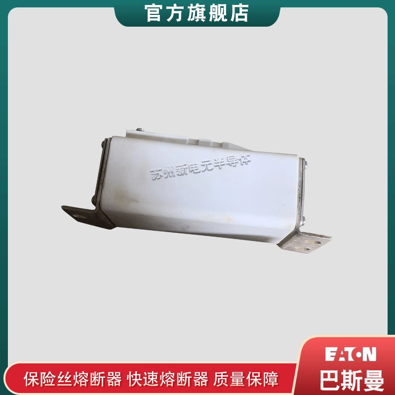 [170M2045 2046 2047 2048 2049 2050 原装美国bussmann快速熔断器]