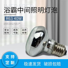 浴霸中间照明灯泡40W保温取暖浴室卫生间反射家用专用可调光暖光