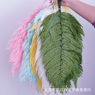 [Big fern leaf] Eternal Flower green leaf money Fern diy photo frame dried flower home decoration flower arrangement with material with leaf