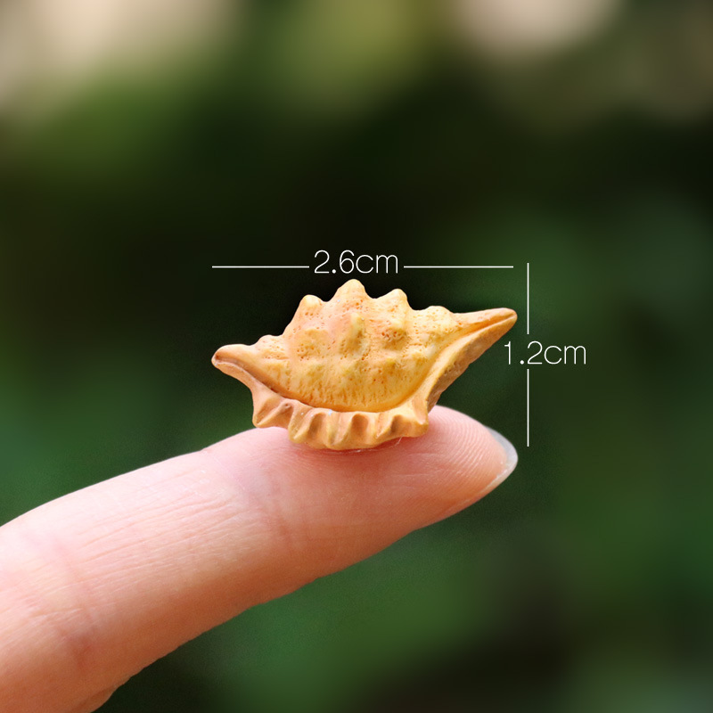 Small conch (simple)