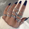 22858-silvery