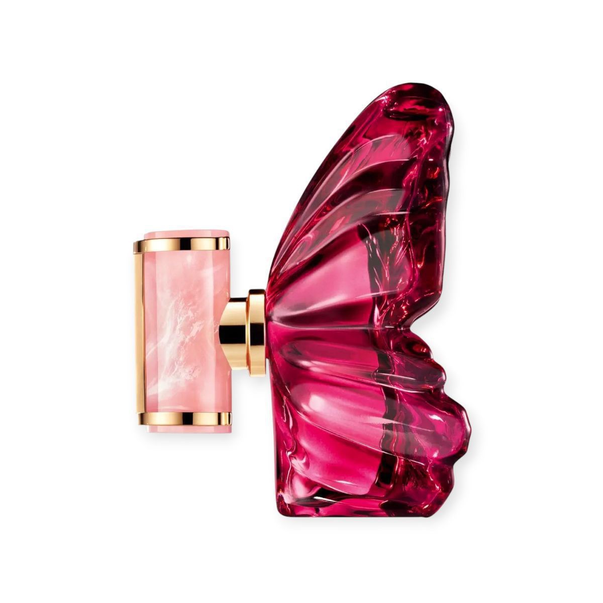 微信图片_20260307213718_172_2