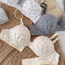 2025¿С܃ŮСؾ۔n@oȦз´b