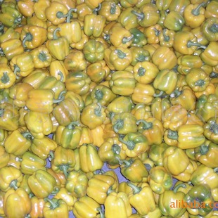 ������ʽ����Y�|���S������ӹ���