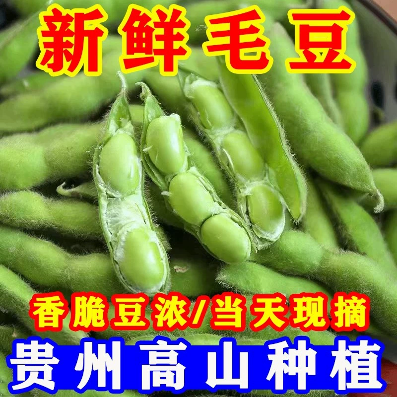 Свежая зеленая фасоль из Аньхой, свежесобранные овощи с фермы, очищенная зеленая фасоль, стручки маша, крупная зеленая фасоль, нежная сырая фасоль, вареная 2.5kg г.
