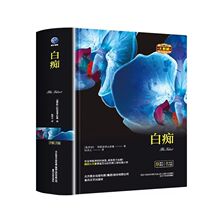 白痴日本作家陀思妥耶夫斯基原著全译本无删减罪与罚群魔地下室
