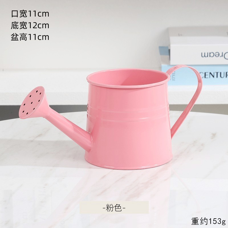 Regadera de hierro de colores vibrantes para jardinería, regadera al por mayor para floristerías, flores frescas, ramos, arreglos florales y exhibiciones florales.