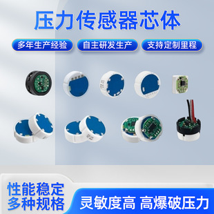 Olide Ceramic Pressure Sensor Core Anti-Corrosion Concave Film Module Resistive Pressure Sensor Core