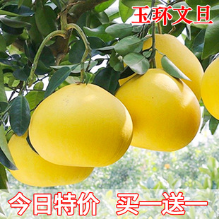 ��h�ĵ�����޽��������ĵ����Ә��箔��Y�������ϱ����N������