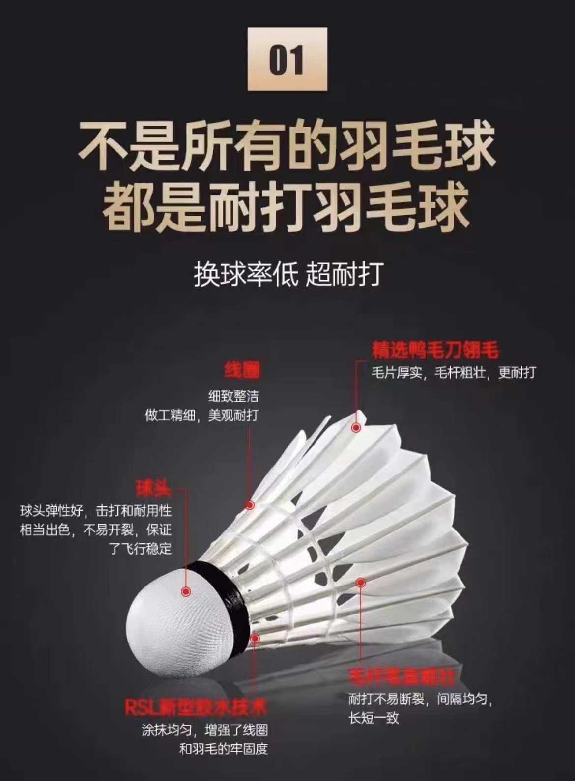 图片_20240714174928