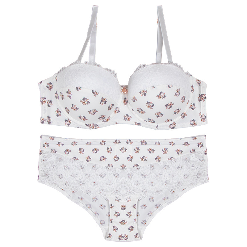 Europa y América comercio exterior ropa interior de encaje sexy, impresión de nylon transpirable, secado rápido, pecho pequeño, conjunto de sujetadores de damas.