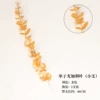 Small branch Eugali (single branch)