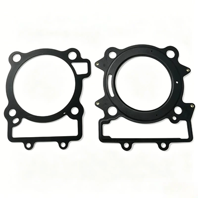 Ring Gasket Kit, Cylinder and parts