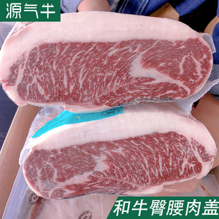 �����������w��ţM4-5ԭ�����͏d��������ʳ��M6-7ţ�Żʺ�С����