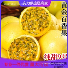 ��ÿ�����]���V���J��9̖�S��������������һ�����l�������ֱ