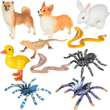 �羳�������ģ�Ϳ���Ұ���r�������R�����ܴ���ѩ�ǃ�ͯ�J֪���