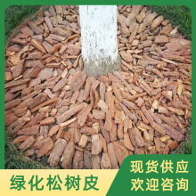 �������b�Ƥ�@�ֳ������[��ĥ���͑����쾰�ɘ�Ƥ�ЙC���w��