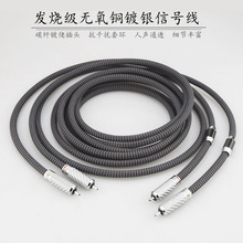 �l��OFC��y������2RCA�pɏ����̖�����ɔ_��푹���CDđ�C���l��