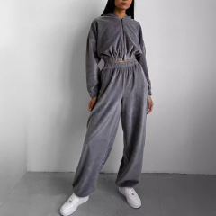 2025 アマゾン春と秋の貿易新しい婦人服ファッションカジュアルルーズフード付きスタンドカラースウェットシャツ 2 点セット