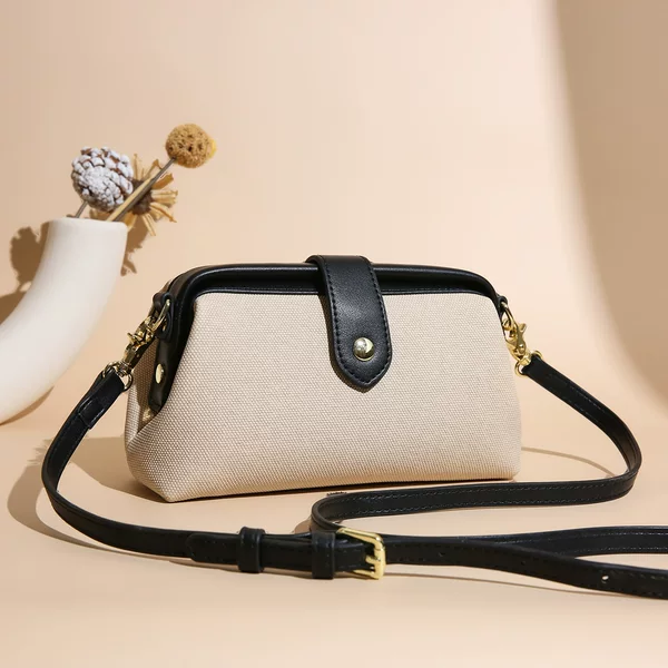 French High-End Casual Commuter Bag Women's New Niche Texture Single Shoulder Crossbody Bag Popular Canvas Dumpling Bag