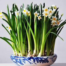 羳ƷNˮԆΰذGֲNˮஔ_