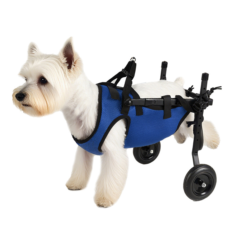 国境を越えたペット犬用車椅子、犬用リハビリ歩行補助車、電動アシスト車、障害のあるペット犬用スクーター|undefined