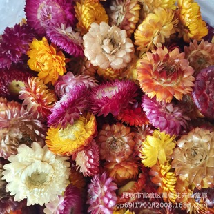 ���߲ʾա���ϸɻ����U��С�r�ոɻ��^diy�F������ֹ�����