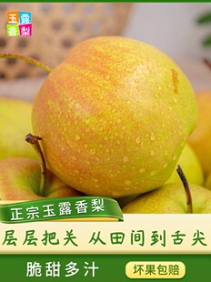 ���]����ɽ����¶����ɽ�����h��¶�������ЋDˮ�����r�Y��5/10��