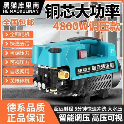 Black Cat Pressure Car Washer — Car washing machine