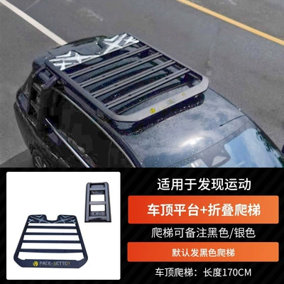 Roof rack steps - discovery-sportsroof-platform-ladder170cm