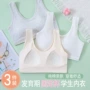 学生一体高中防震文胸