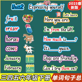 2025新人教版小学英语三四五六年级下册单词句子型卡片板书贴教具