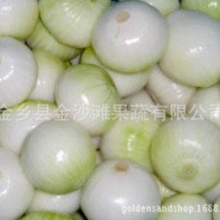 �L�ڹ��� ÓƤ���[���r�񃞻� �gӭ�����xُ