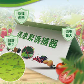 跨境直销新款防治番茄潜叶蛾虫害专用强效信息素诱芯一体化诱捕器