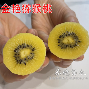 �殐������J������ ���G�J���� �J���Ҙ���ͥԺ���Ա����Ϸ��Nֲ
