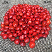 ��Ȼ�t������ԭ����˼�����t���ִ����ɢ��Փ��t������һ�w���