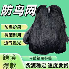 ���B�W��ɫ��]������o�W�Bֳ�~�����@�r��r�B��W���l��B