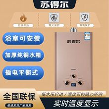 燃气热水器洗澡恒温天然气智能变频安全节能液化气12升厂家亚马逊