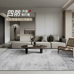 地毯客廳2024新款免洗可擦圈絨意式極簡沙發輕奢高級臥室灰色耐髒