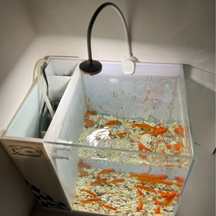 Fish Tank Lamp Super Bright Fill Light Rechargeable Desktop Lamp Fish Tank Lamp Special Lamp Fish Tank Lamp Clip Lamp Small Fish Tank Lamp