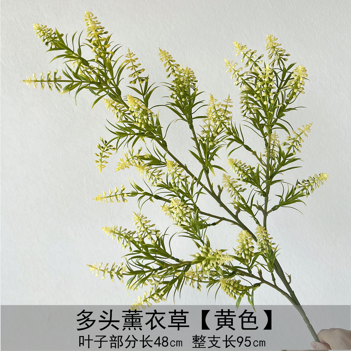 다두 라벤더 - 옐로우