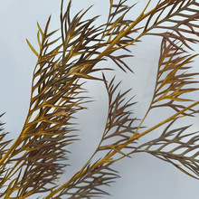 ���������l�Ӽ��bɳ��ڻ��������OӋ��c��Ĳ廨�~��녘��~