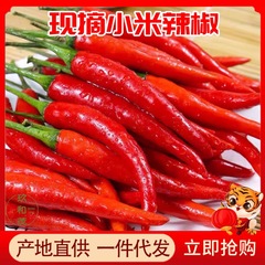 本物の赤唐辛子 4.5kg 箱入り 新鮮な朝天椒 朝天尖椒 10 卸売 5 送料無料 辛い唐辛子 爆発的人気商品
