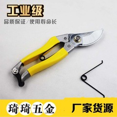 Qinuo Imported Blade Pruning Shears Garden Tool Fruit Branch Pruner Home Gardening Scissors SK5 Effortless Fruit Branch Pruner