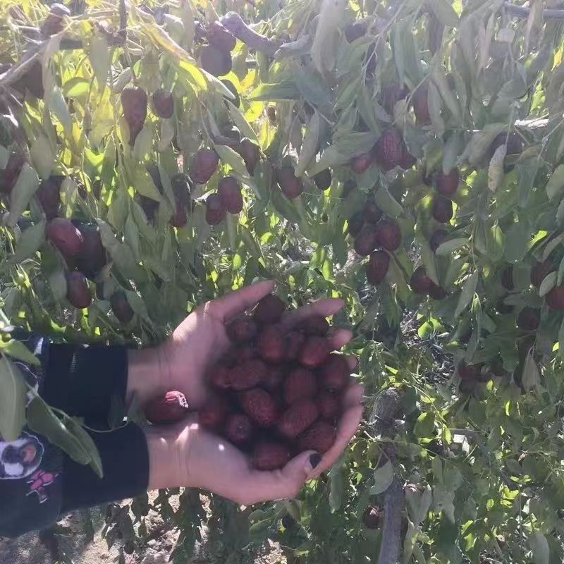 微信图片_20221016083306