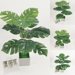 ���W����Gֲ���Ԕ[���ָ��~12�^�����G�}�~�辰ֲ��ҾӾƵ��b�