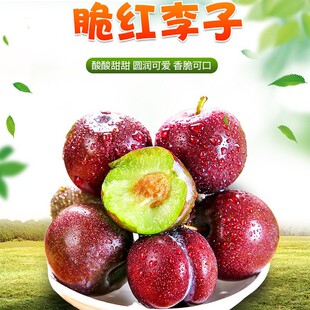 �Ĵ���߅�t���� ��t�� 5���������r�����Fժ�ЋDˮ��Ó������l